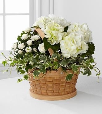 Whispers of Peace Sympathy Basket