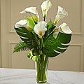 Always Adored Calla Lily Bouquet